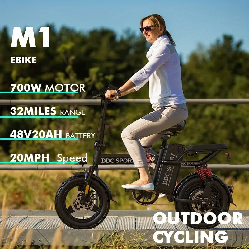 adult electric bike